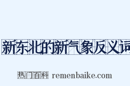 新东北的新气象反义词是什么意思的图片